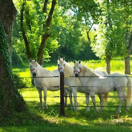 בית נופש Au Coeur D'un Elevage De Poneys Connemara