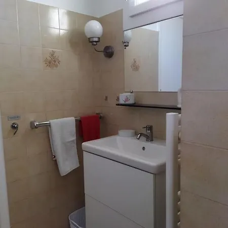 Au Coeur D'un Elevage De Poneys Connemara *