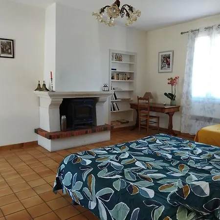 Au Coeur D'un Elevage De Poneys Connemara