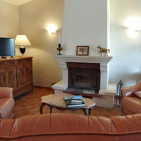 Au Coeur D'un Elevage De Poneys Connemara *