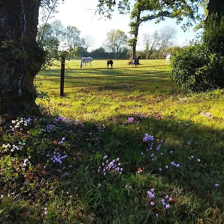 בית נופש Au Coeur D'un Elevage De Poneys Connemara *
