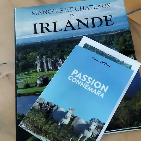 Au Coeur D'un Elevage De Poneys Connemara Tatil Evi *