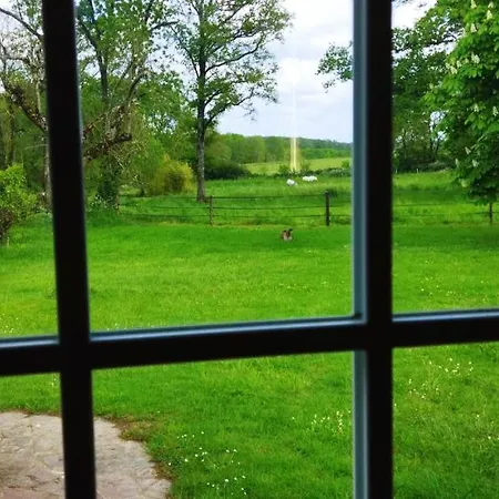 Tatil Evi Au Coeur D'un Elevage De Poneys Connemara *