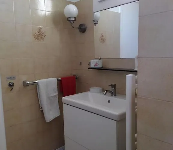 Au Coeur D'un Elevage De Poneys Connemara *