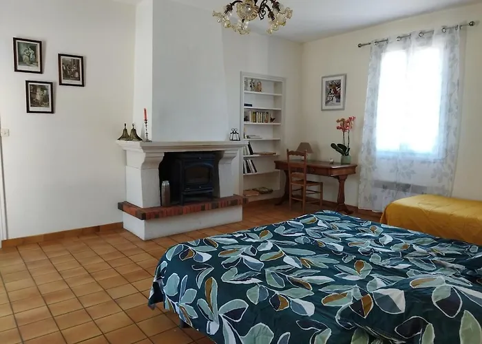 Au Coeur D'un Elevage De Poneys Connemara