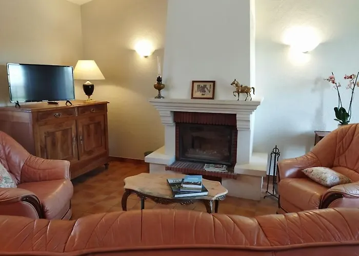 Au Coeur D'un Elevage De Poneys Connemara *