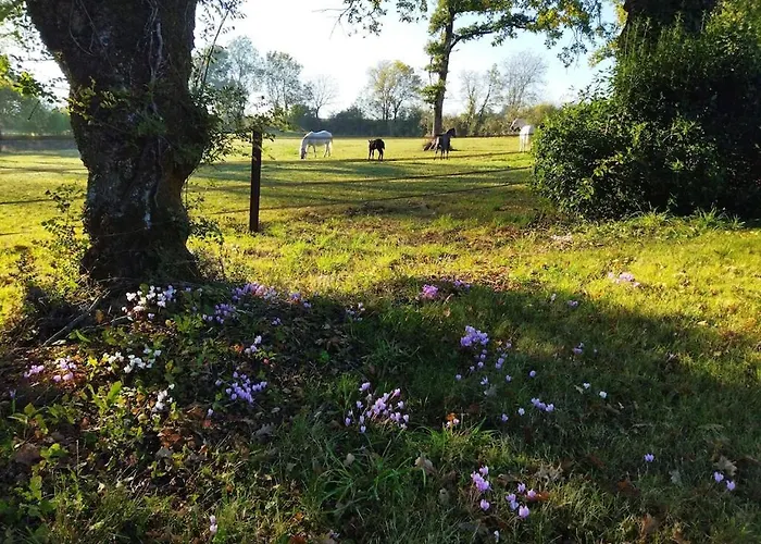 Prázdninový dům Au Coeur D'un Elevage De Poneys Connemara *