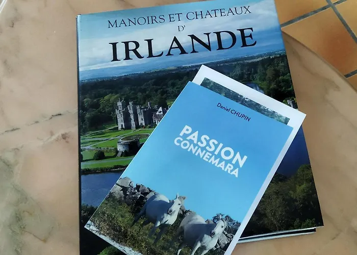 Au Coeur D'un Elevage De Poneys Connemara Prázdninový dům *