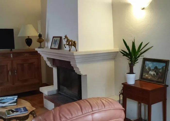 Tatil Evi Au Coeur D'un Elevage De Poneys Connemara Le Landreau