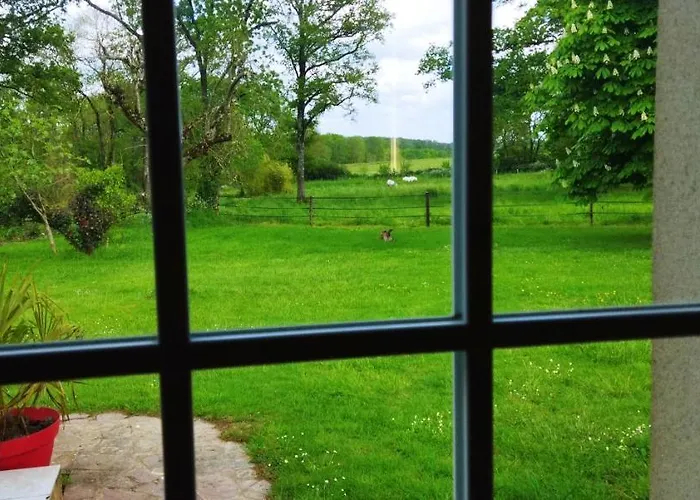 Tatil Evi Au Coeur D'un Elevage De Poneys Connemara *